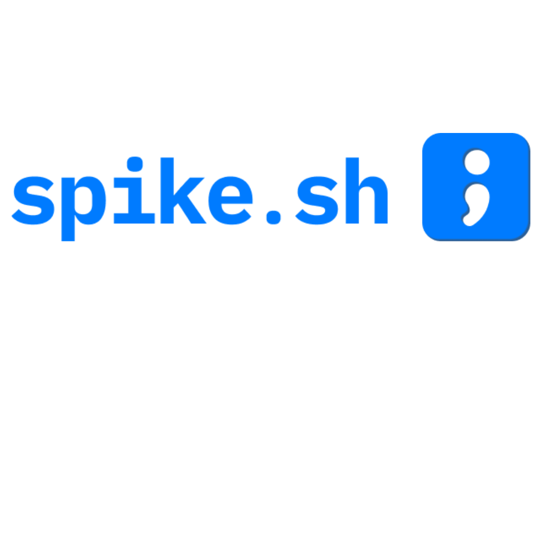 Spike Boosts Time-to-Market and Enterprise Security